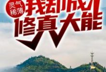 主角林峰林云瑶小说灵气稀薄，我却成修真大能？免费阅读-侠客文学