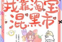 主角赵雨笙宋安懿小说回到六零,我靠淘宝混黑市免费阅读-侠客文学