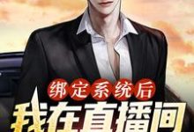 寻找绑定系统后,我在直播间甩卖通缉犯小说的最新更新章节-侠客文学
