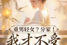 水清范进是哪本书的主角?重男轻女?分家! 我才不受这窝囊气免费读-侠客文学