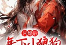 想读琅斐沈清棠的故事，哪里可以免费找到闪婚后，年下小狼狗不装了？-侠客文学