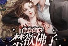 偏爱独宠，禁欲佛子搂腰缠吻年景骁叶枳夏，偏爱独宠，禁欲佛子搂腰缠吻最新章节-侠客文学