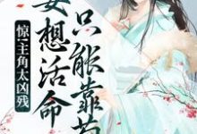 求宋观舟小说免费资源-侠客文学