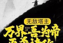 免费阅读秦玄纳兰倾城为主角的小说，无敌塔主：万界吾为帝，灭杀诸敌在线看-侠客文学