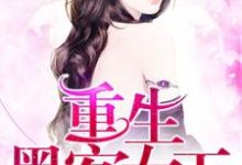 艾锦夕叶湛寒是哪本书的主角?寻找重生黑客女王免费阅读-侠客文学