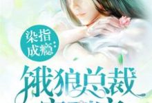 《染指成瘾:饿狼总裁宠到底》小说大结局免费试读 夏望莫斯南莫梵洛小说-侠客文学