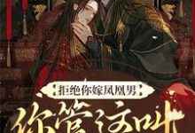 拒绝你嫁凤凰男,你管这叫恶人?小说,拒绝你嫁凤凰男,你管这叫恶人?阮云罗-侠客文学