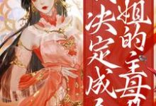 重生后,我决定成全姐姐的主母梦小说的无弹窗阅读体验,寻找免费阅读网站-侠客文学