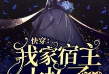 快穿：我家宿主太坏了怎么办免费阅读，快穿：我家宿主太坏了怎么办章节在线阅读-侠客文学