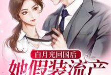 白月光回国后，她假装流产跑路了（姜诗念厉忱）在线免费阅读-侠客文学