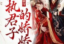 哪里可以免费读到姜姝窈沈韫玉的完整故事？寻找强取豪夺：偏执君子的娇娇-侠客文学