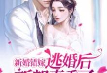 求推荐可以免费阅读新婚错嫁，逃婚后新郎真香了！小说的网站-侠客文学