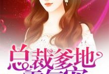 莫兰战北宸为主角的小说总裁爹地霸气宠在线阅读-侠客文学