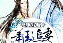 独宠医后：萧王追妻路漫漫小说的最新章节在哪里更新？免费追踪阅读-侠客文学
