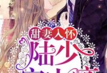 寻找甜妻入怀：陆少，宠上瘾！小说的最新更新章节-侠客文学