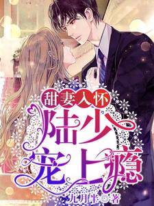 寻找甜妻入怀：陆少，宠上瘾！小说的最新更新章节