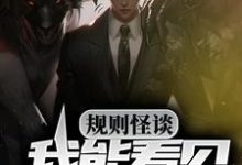 规则怪谈：我能看见规则提示小说，规则怪谈：我能看见规则提示免费阅读-侠客文学