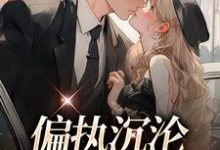 偏执沉沦：学长，晚上见小说全文哪里可以免费看？-侠客文学