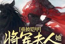 主人公宋惜惜战北望小说重披铠甲,将军夫人她英姿飒爽在线章节阅读-侠客文学