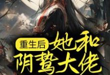 重生后，她和阴鸷大佬共谋天下小说的无弹窗阅读体验，寻找免费阅读网站-侠客文学