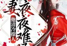 他清冷撩人，娇妻夜夜难眠小说最新章节在哪里可以读到？-侠客文学