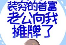 小说《闪婚超甜：装穷的首富老公向我摊牌了》在线章节阅读-侠客文学
