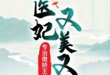 主角魏紫风澹渊小说医妃又美又飒,专治傲娇王爷免费阅读-侠客文学