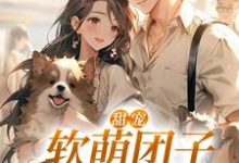 免费在线阅读甜宠：软萌团子要和我回家小说的正规网站有哪些？-侠客文学