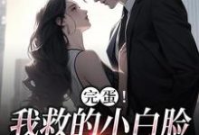 完蛋!我救的小白脸是京圈太子爷沈听晚裴清礼小说在线章节目录阅读最新章节-侠客文学