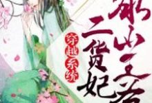 穿越系统：冰山王爷二货妃小说完结版章节免费阅读-侠客文学