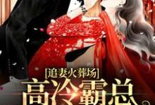 追妻火葬场：高冷霸总跪求我复合小说，追妻火葬场：高冷霸总跪求我复合免费阅读-侠客文学