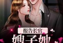 完结版《报告长官！嫂子她又惹事了》免费阅读-侠客文学