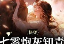 快穿：七零炮灰知青的逆袭之路小说最新章节在哪里可以读到？-侠客文学