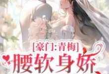豪门:青梅腰软身娇,大佬撩上瘾小说,豪门:青梅腰软身娇,大佬撩上瘾尹婳陆流光-侠客文学