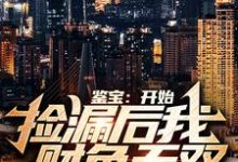 林枫温婉晴是哪本书的主角？寻找鉴宝：开始捡漏后我财色无双免费阅读-侠客文学