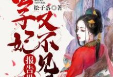 免费阅读周淼许慎景为主角的小说，报告世子，世子妃又不见了在线看-侠客文学