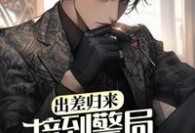 王昊小说在线章节免费阅读(出差归来,接到警局电话赎老婆无弹窗无删减)-侠客文学