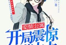 完结版《爱情公寓：开局震惊诸葛大力》章节目录在线阅读-侠客文学