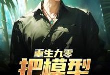 哪里能找到重生九零：把模型改成战机小说的最新更新和免费章节？-侠客文学