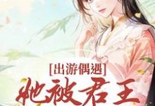 出游偶遇,她被君王强取豪夺这本小说在哪里可以看?哪里有免费试读章节?-侠客文学