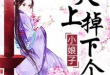 天上掉下个小娘子小说,天上掉下个小娘子在线阅读-侠客文学