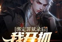 已完结小说《绑定罪狱录后，我开抓犯事异人》章节在线阅读-侠客文学