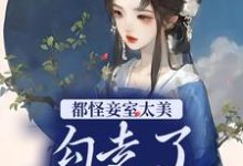都怪妾室太美,勾走了侍郎的心小说有没有完结版在线?-侠客文学