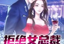 拒绝女总裁第一次后,我逃不掉了小说的无弹窗阅读体验,寻找免费阅读网站-侠客文学