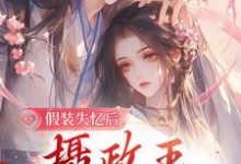 假装失忆后,摄政王重新爱上她章节免费在线阅读,沈青棠墨允宸完结版-侠客文学