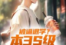 完结版《被逼退学?本3S级弓手不装了》章节阅读-侠客文学