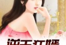 逆天狂婿（龙王殿）小说完结了吗？在哪里可以免费读到？-侠客文学