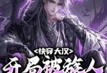 高阳的小说在哪里看？免费在线阅读快穿大汉：开局被族人抢了家产-侠客文学