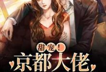 求祝京棠靳泊谦小说免费资源-侠客文学