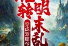 完结版《穿成驾崩帝皇，玩转明末乱世》章节阅读-侠客文学